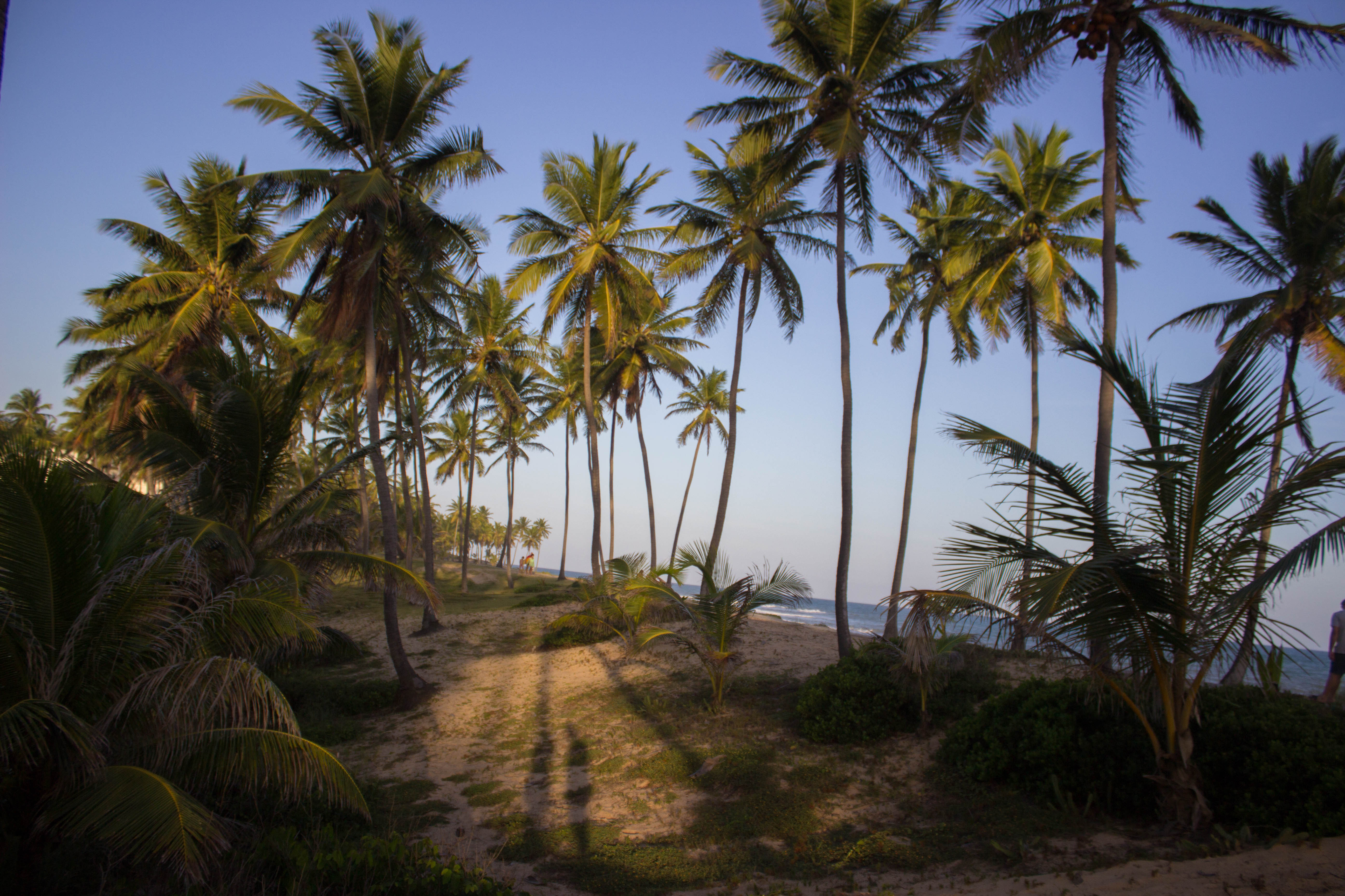 costa do sauipe-4383.jpg