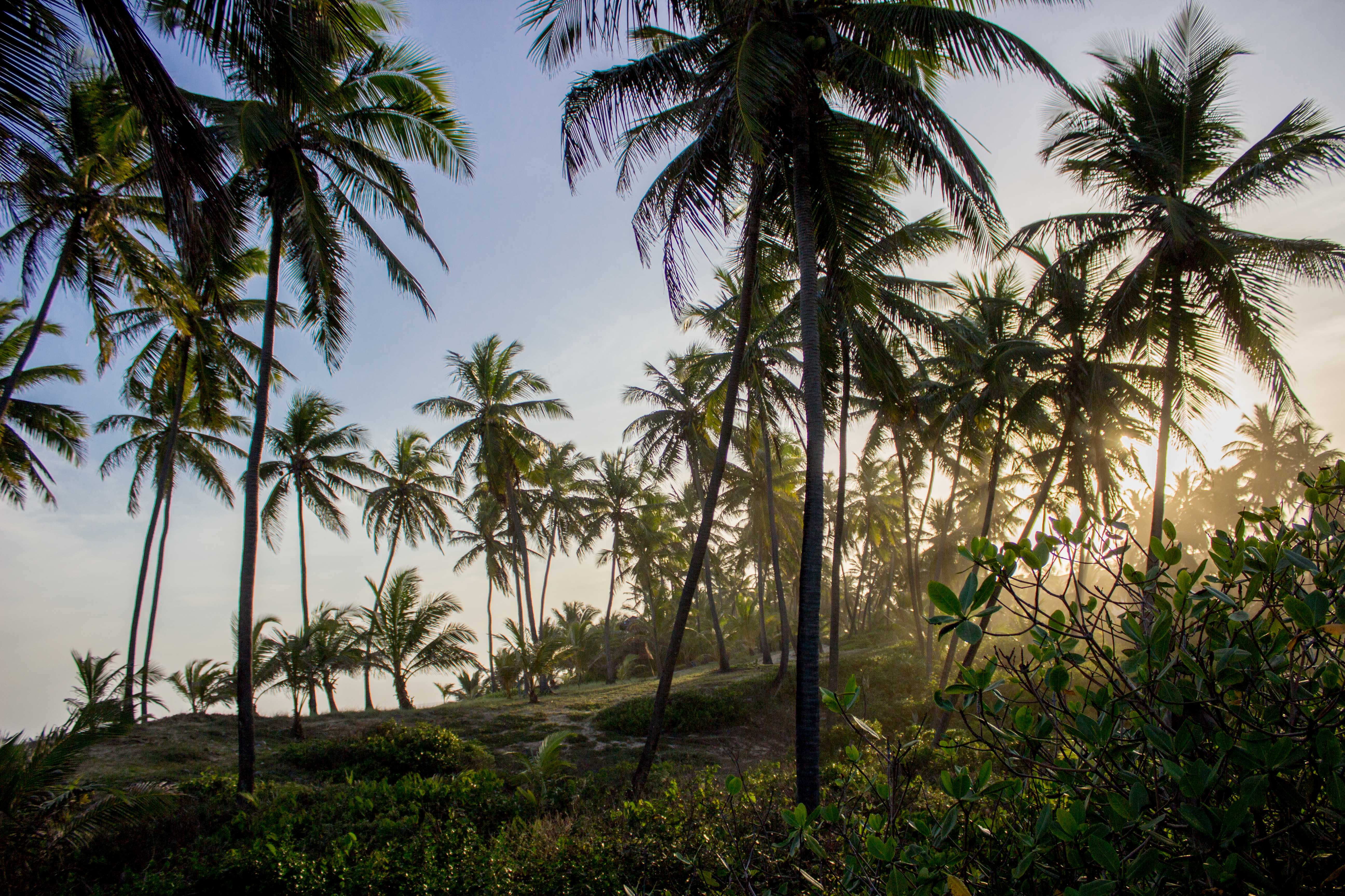 costa do sauipe-4381.jpg